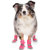 Canada Pooch Hot Pavement Boots for Dogs: Picture 2 thumbnail